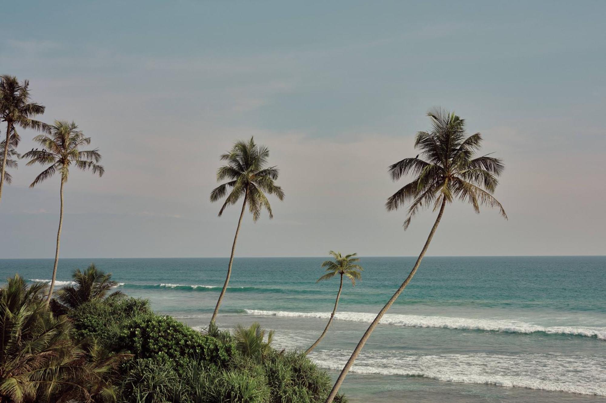 Gitano Surf Ahangama Beachfront Buitenkant foto